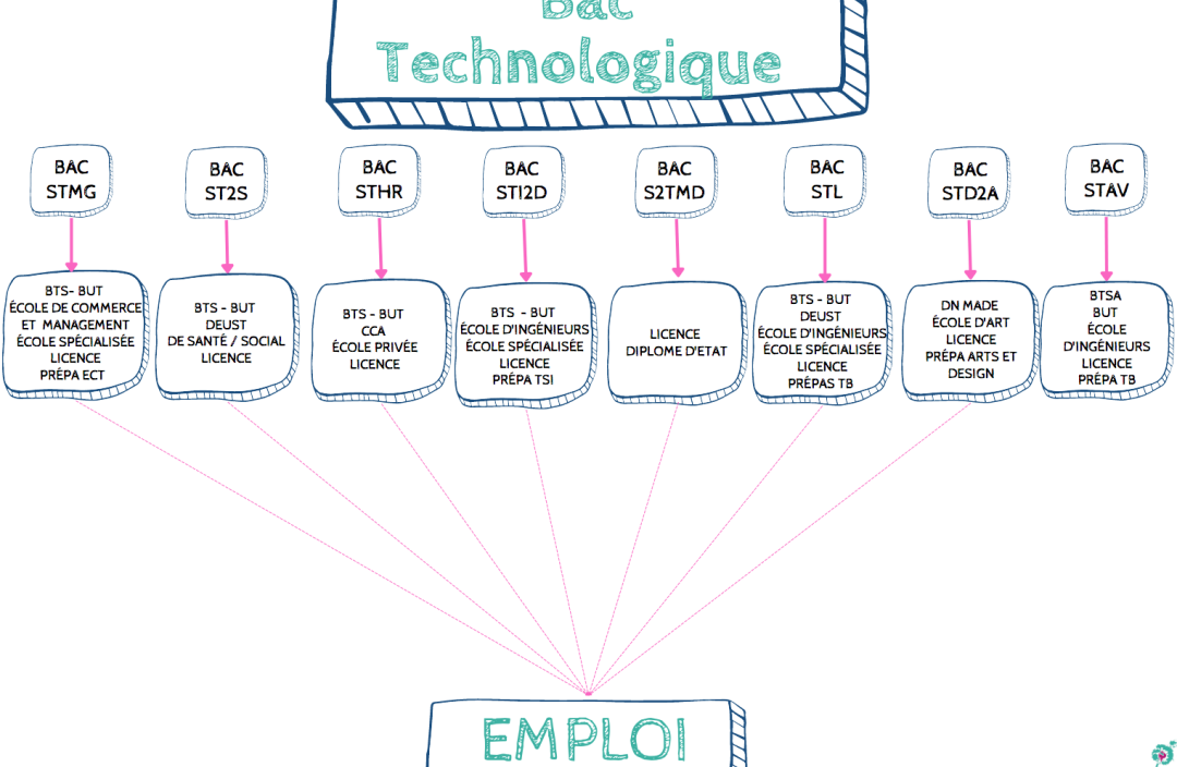 Quelles études supérieures faire avec un bac techno ? Apel